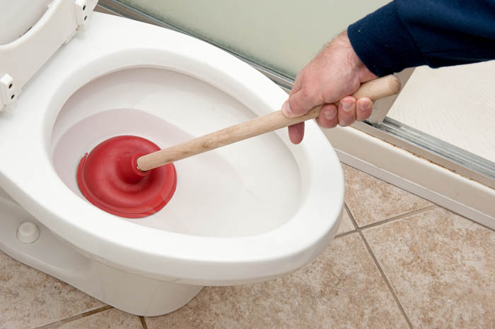 Top 5 Things You Need to Know About Toilet Replacement