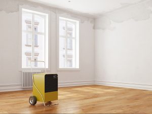 Dehumidifiers New Orleans & Metairie, LA Dehumidifiers New Orleans & Metairie, LA