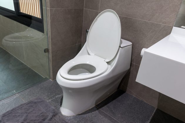 How to Fix a Toilet That Won’t Flush