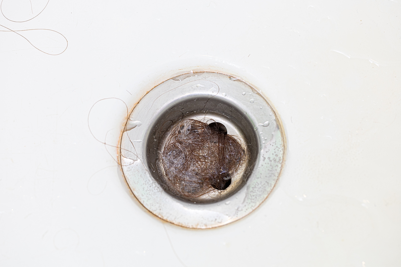 Why Multiple Drains Backing Up at Once Always Means a Bigger Problem